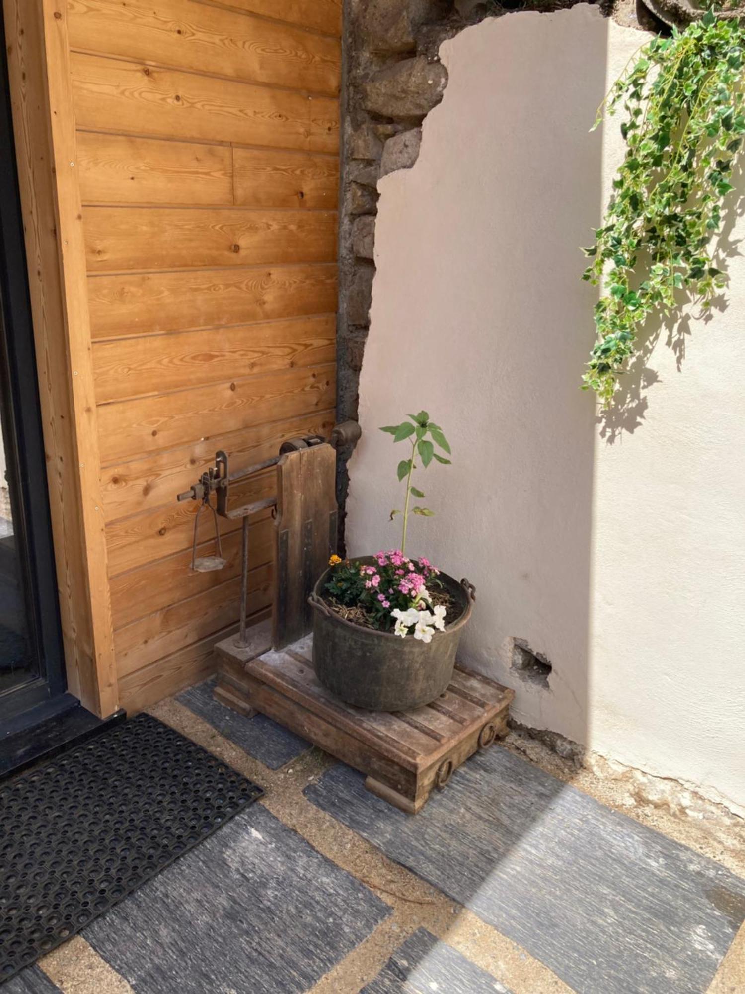 Studio Canellito Le Clos Des Ours มาเตอมาล ภายนอก รูปภาพ